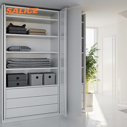 EXEDRA POCKET DOOR SYSTEM